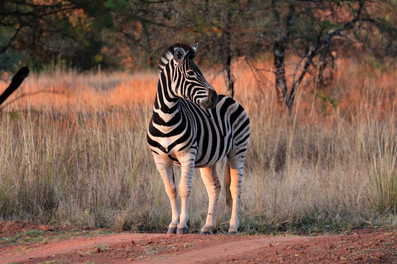 Bass Lake Country Lodge Pretoria-Noord Eksteriør billede